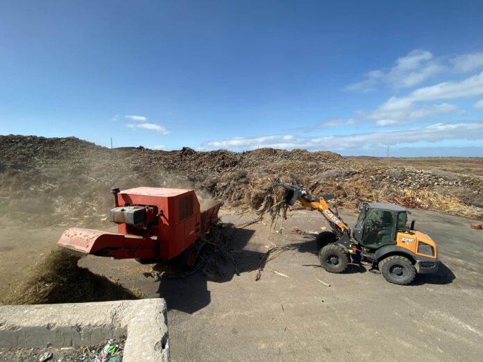 El Ayuntamiento de La Oliva recupera los restos de poda y los ofrece para uso agrícola y ganadero