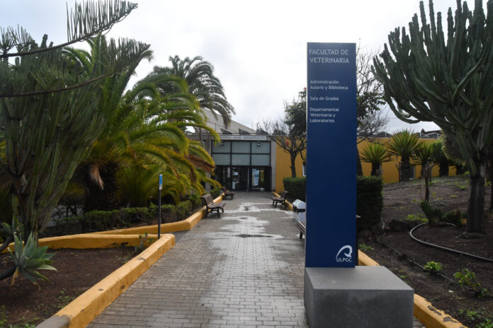 Cinco investigadores internacionales vienen a la ULPGC a formarse en Patología de Cetáceos